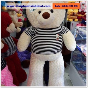Gấu Bông Teddy Hàn Quốc - GAU81